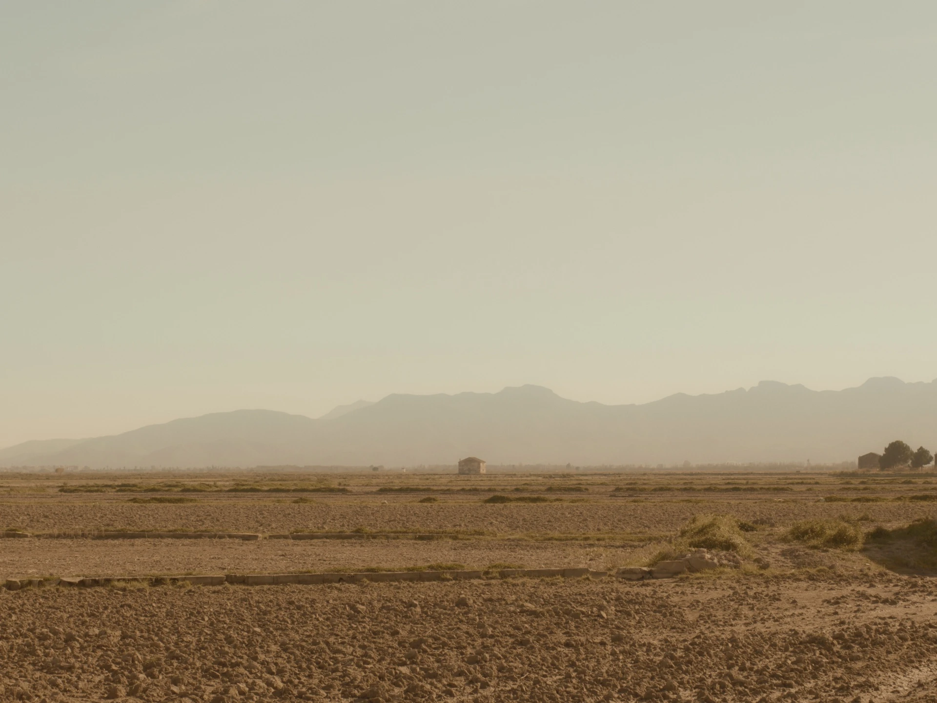 Un perro ladra detrás del depósito — color grading still by Clara Albors